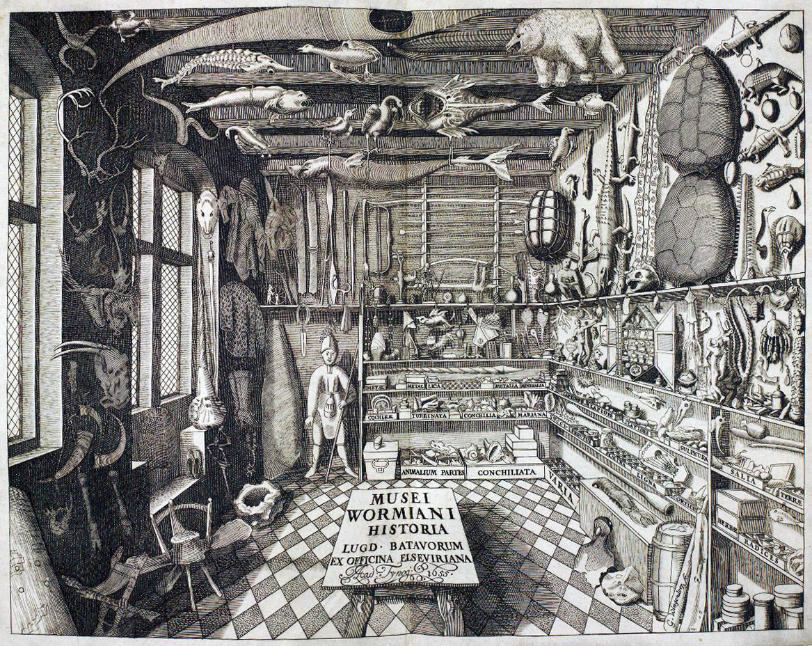 Museum Wormianum (1655), example of a 17th-century apothecary or cabinet of curiosities (101738 bytes)